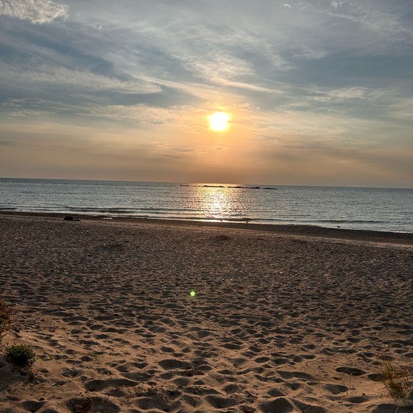 Meet your Posher, Nana - Picture 1 of 2